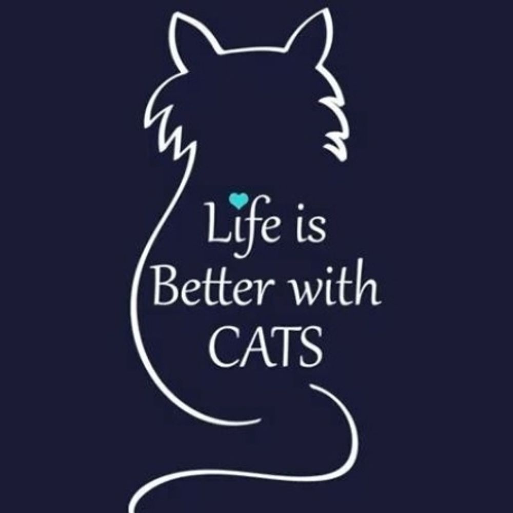AlexStubentiger  ᓚᘏᗢ 