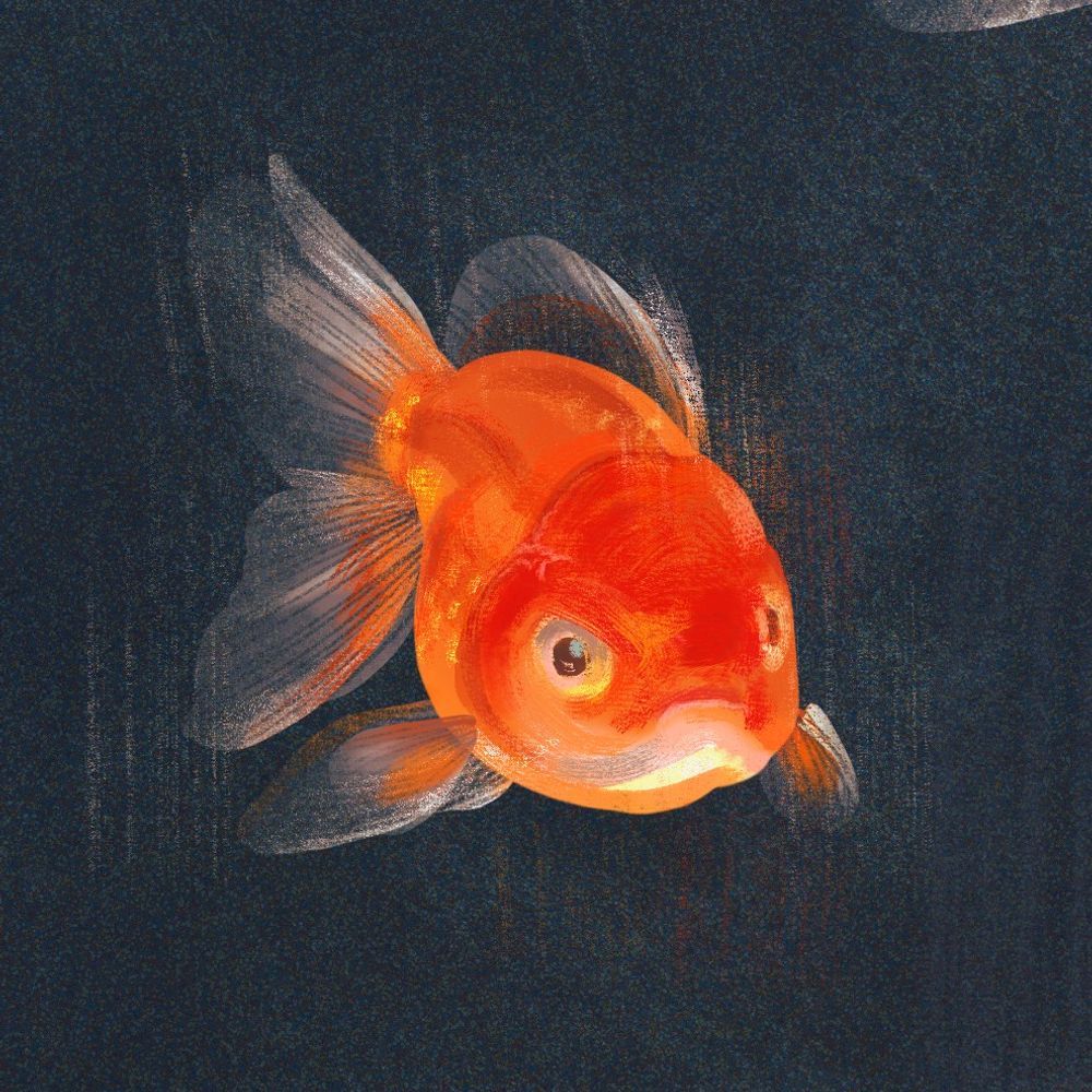 blueboninet