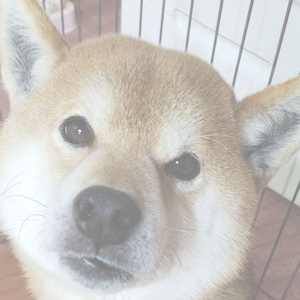 りりおぢ