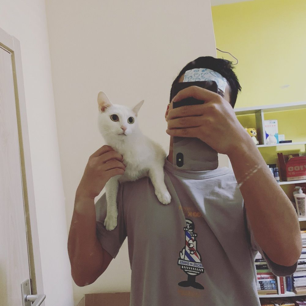 piiiitt