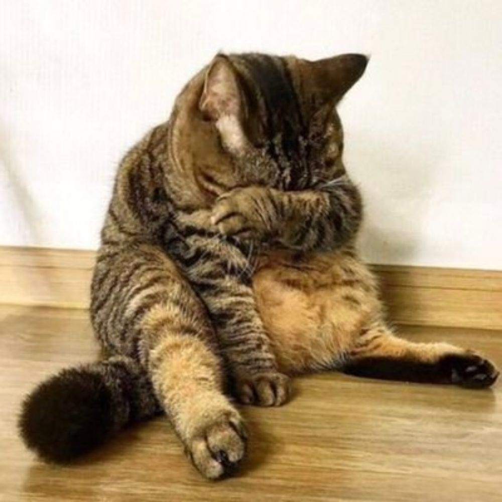 통판중_아마스