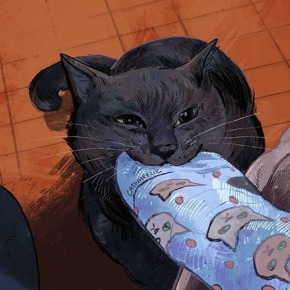 hissy 🐈‍⬛