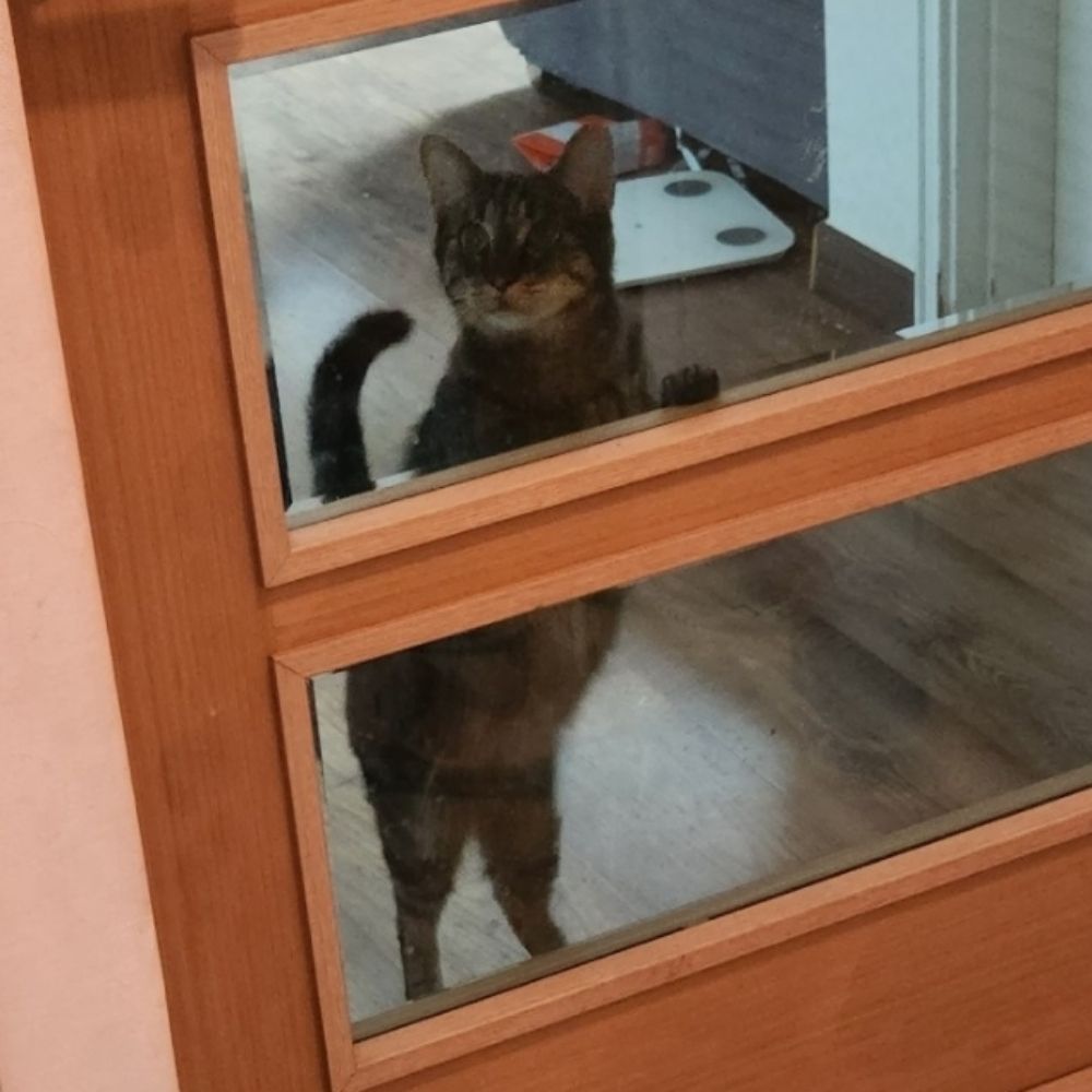 라예