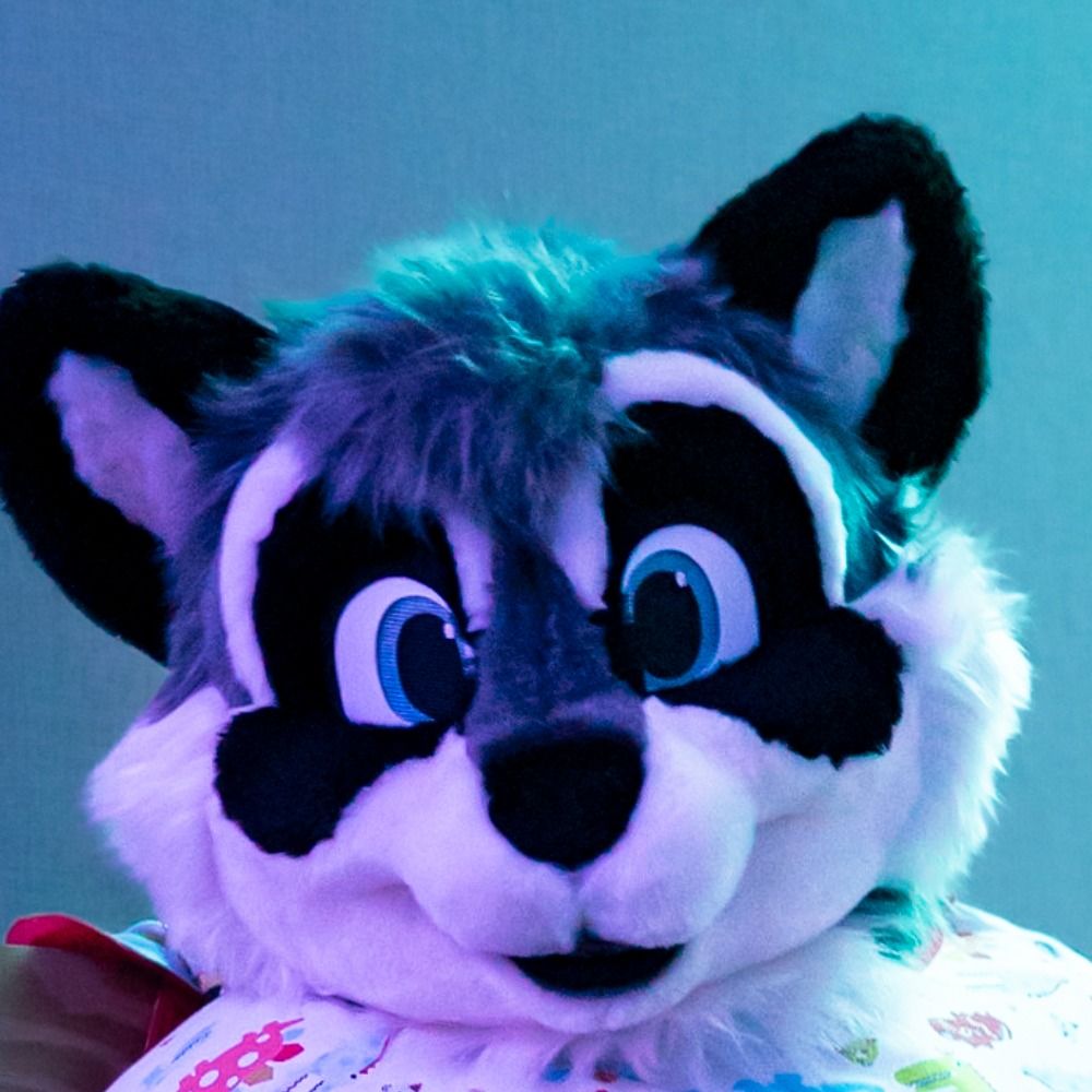 Brisket Raccoon
