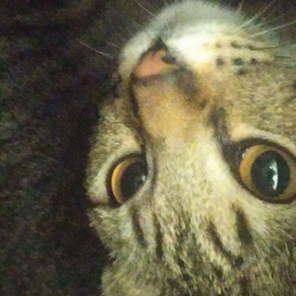 lui