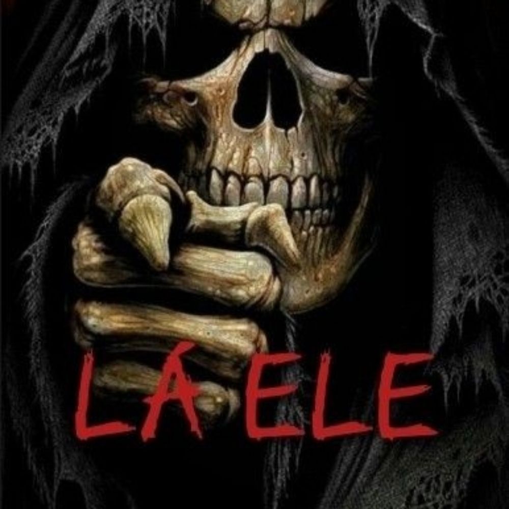 lis :)