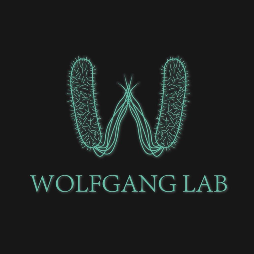 Wolfgang Lab at UNC-Chapel Hill