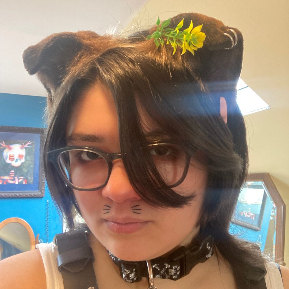 ｡:ﾟJodie ૮ ˶ˆ ﻌ ˆ˶ ა ﾟ:｡