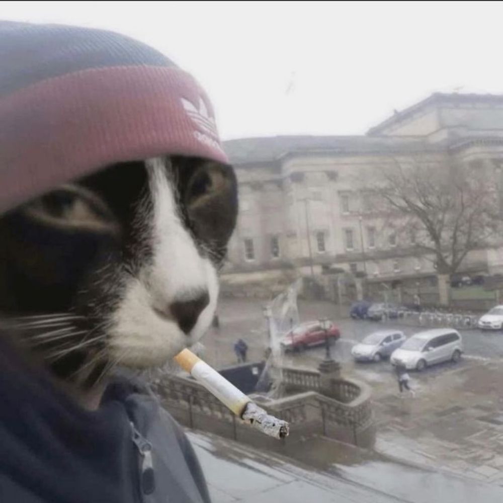 zi