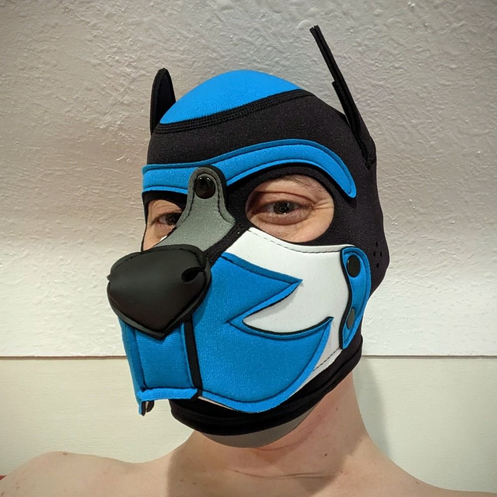 Pup Static