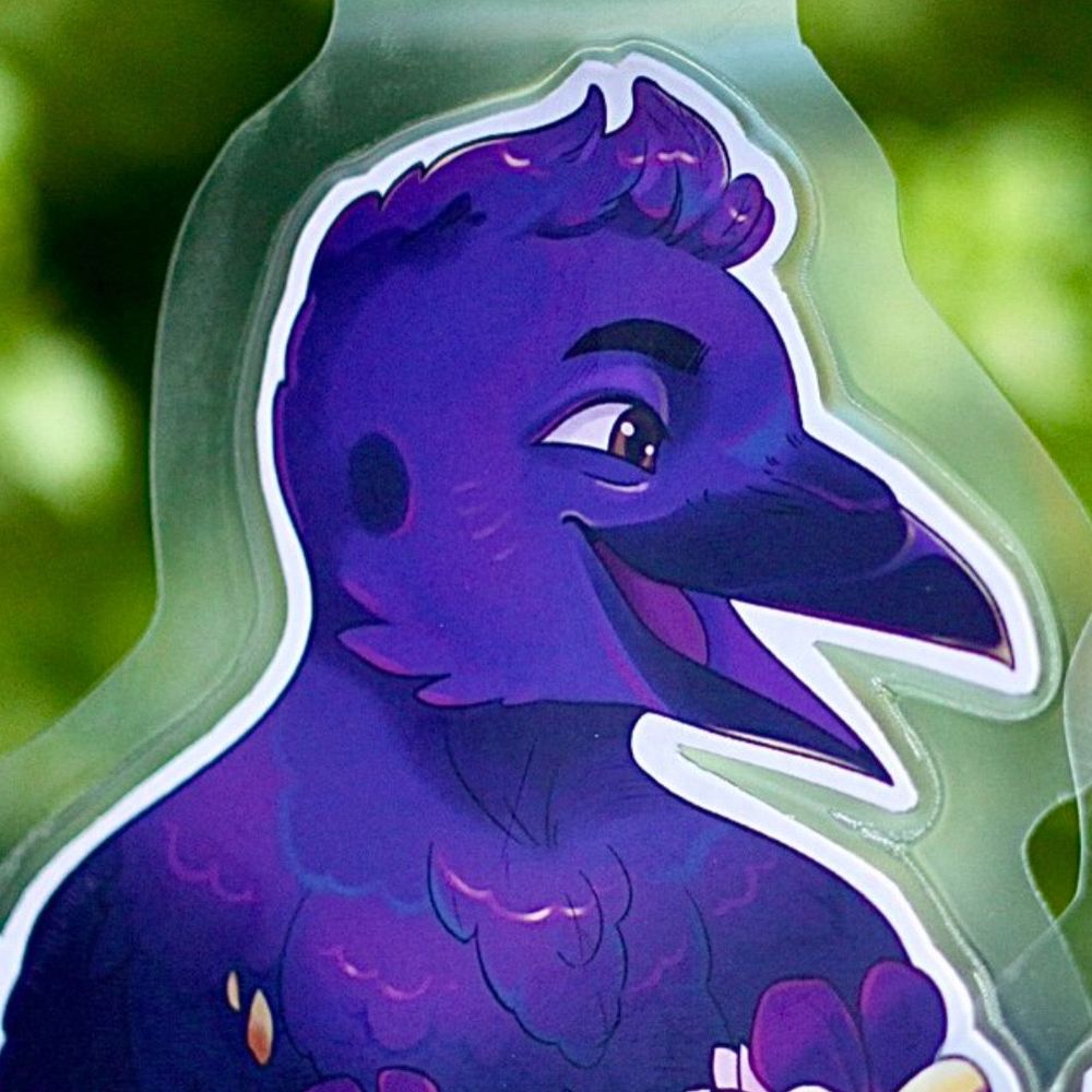Scoot the Crow boi