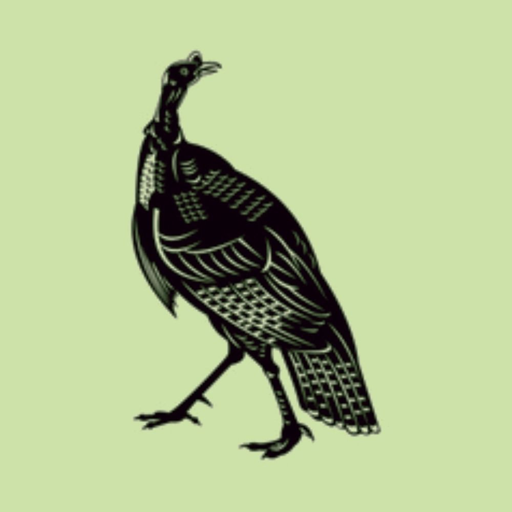 Knife Heron