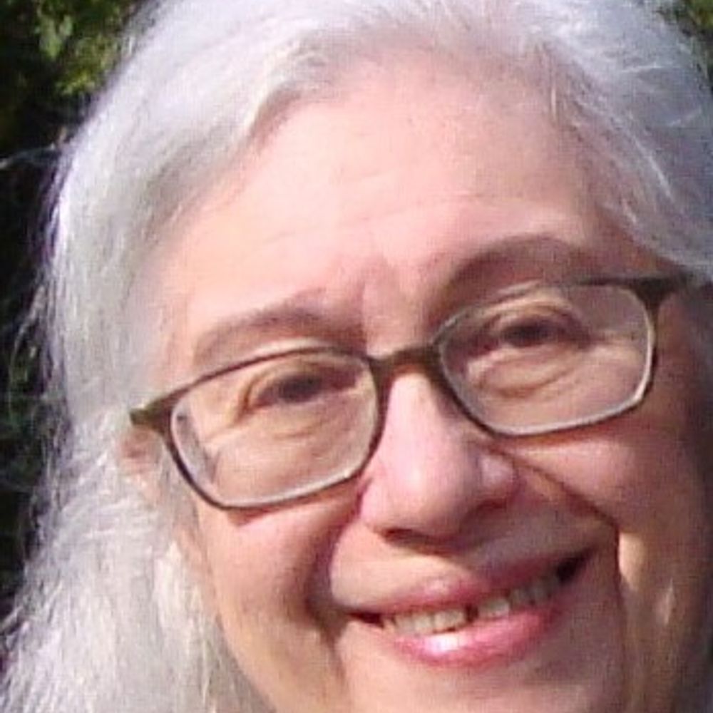 DaviNapo