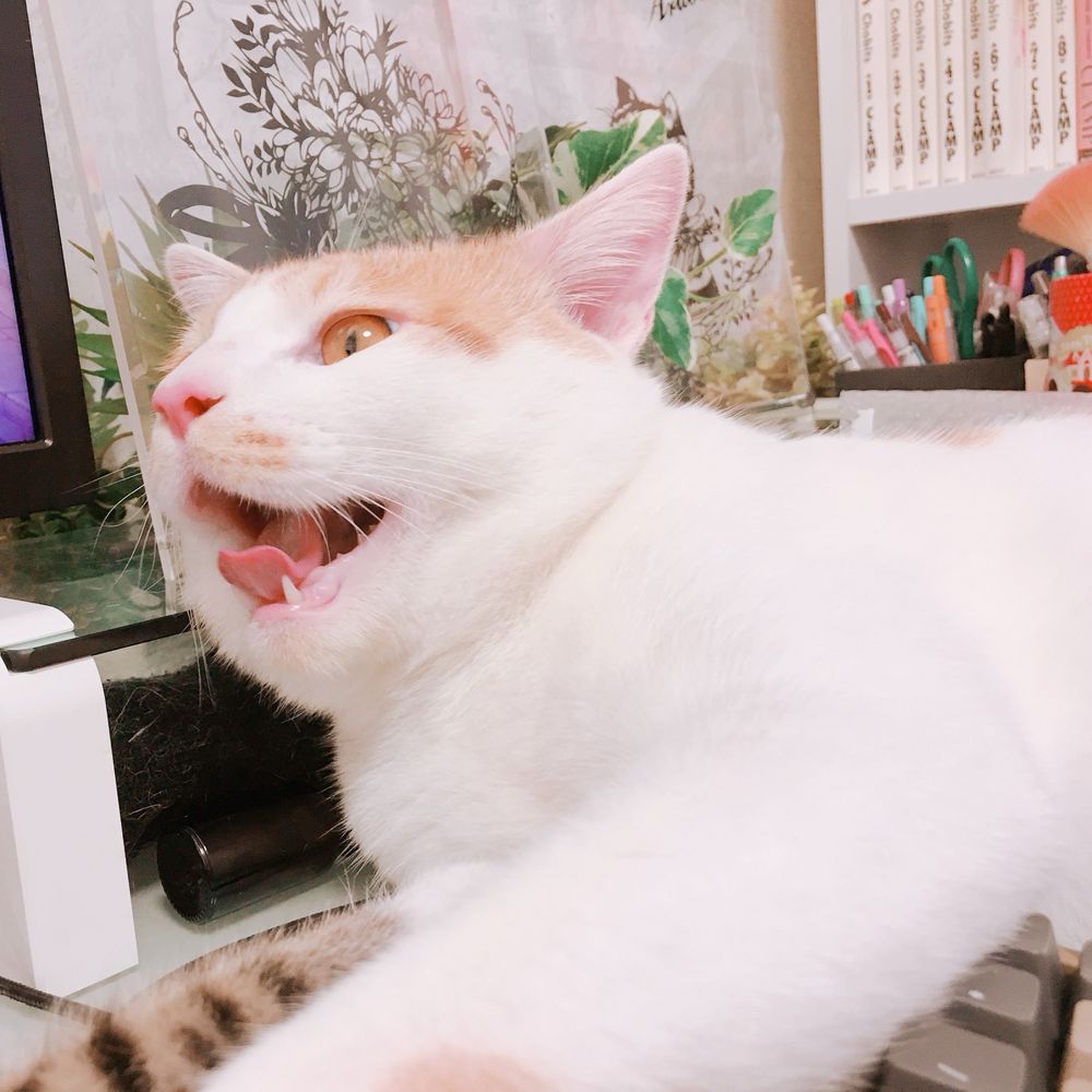 ゆりしす