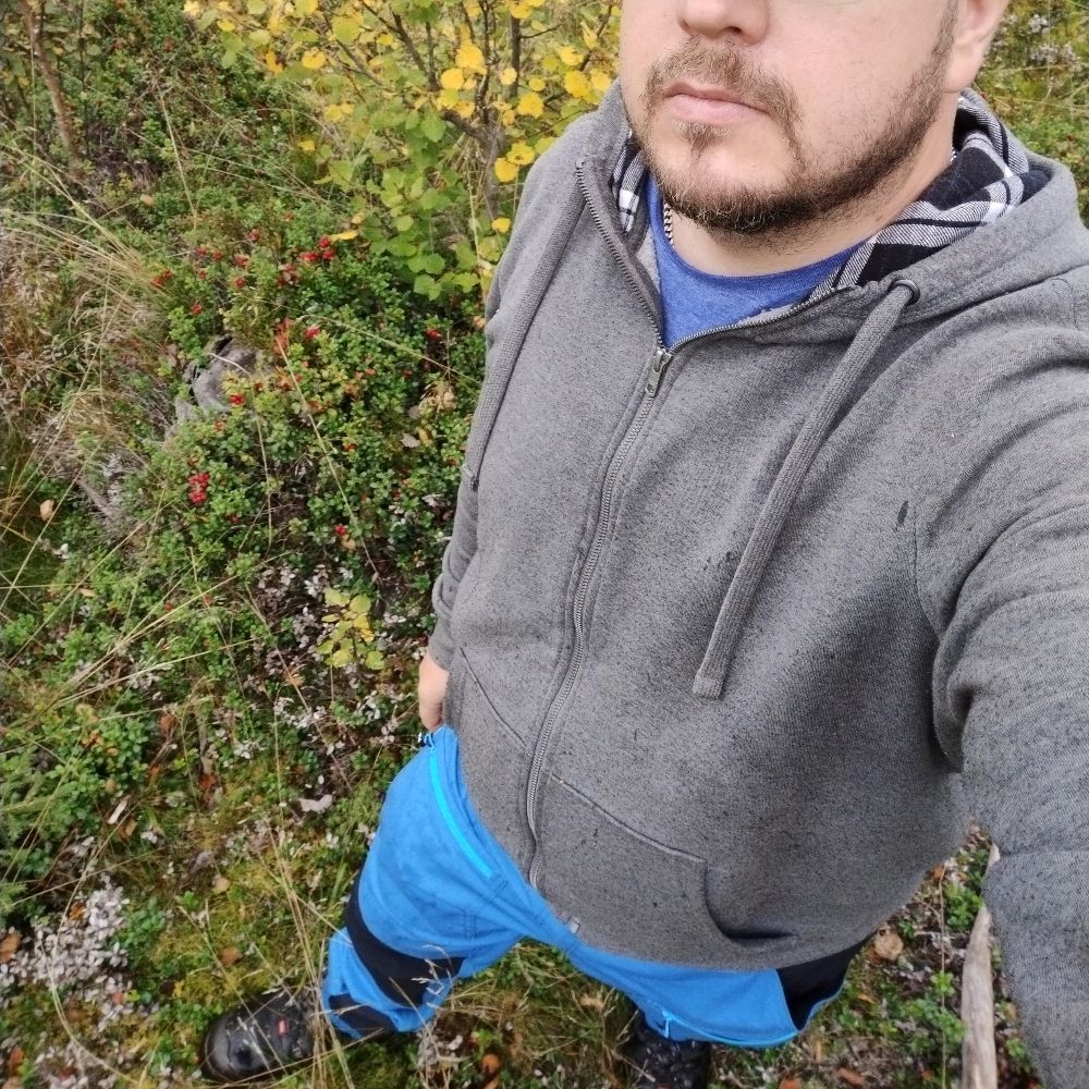 T 🐻