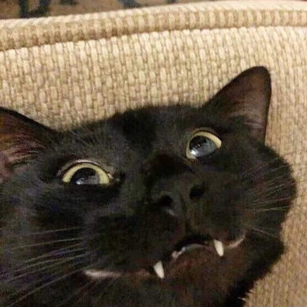 左一下右一下