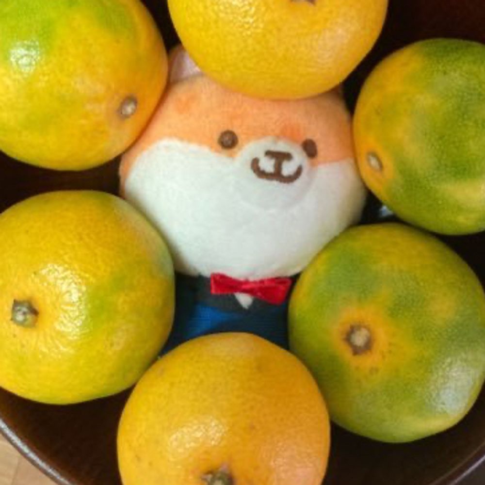 ﾘﾓﾝﾒﾛﾝﾘﾓﾝ🍋🍈🍞