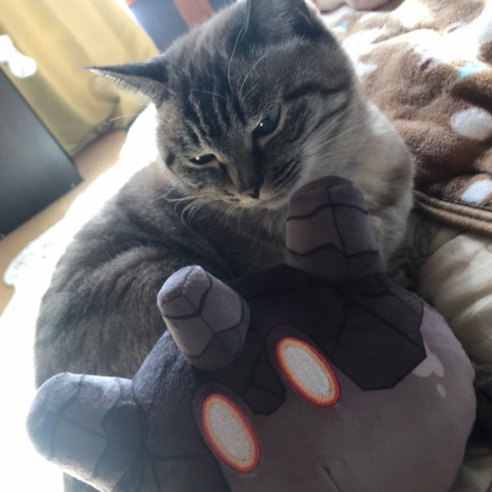 ラブーン🐈( '-' 🐈)ﾈｺﾁｬﾝ