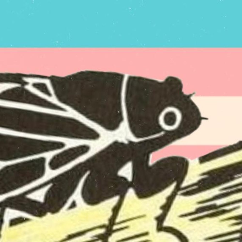 Glenn (he/they)