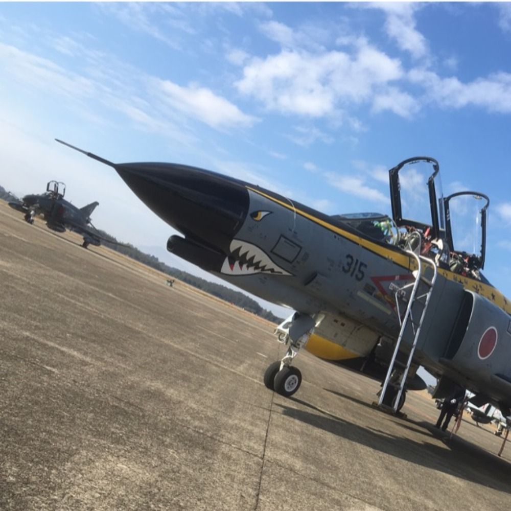 だいたい80kgくらいのスターゲイジーパイ