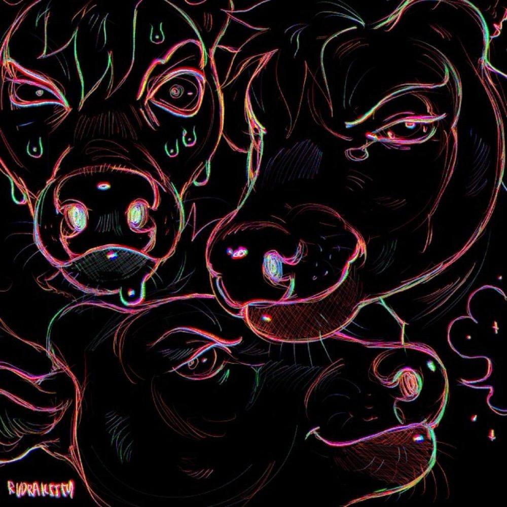 🍁Zech🦌