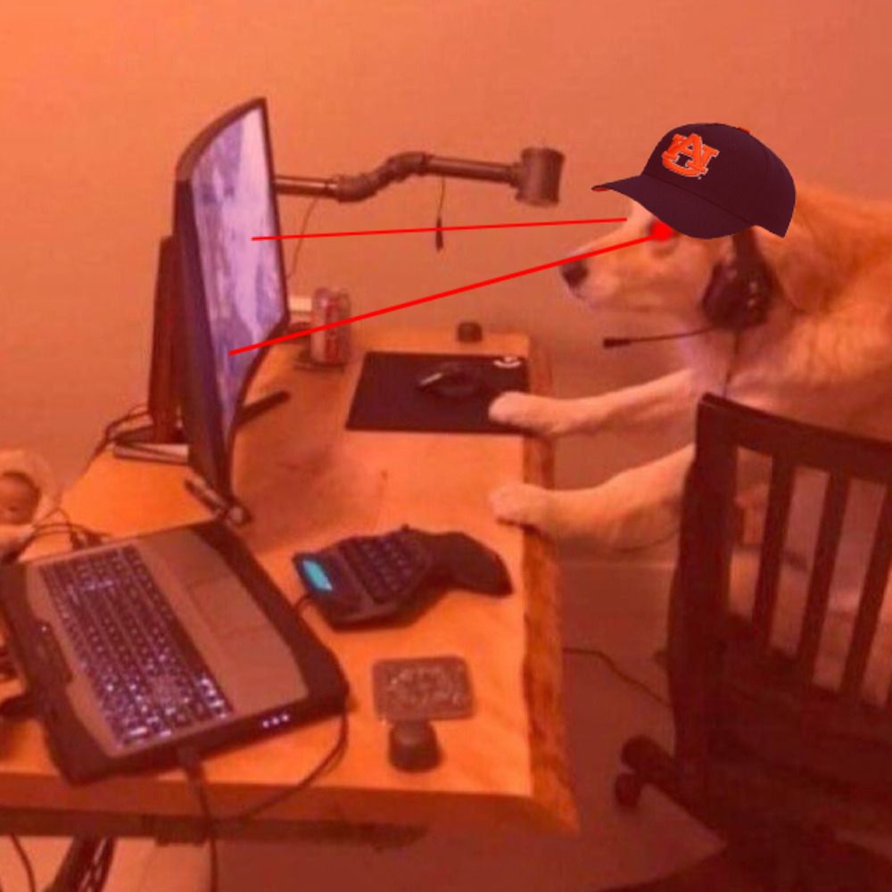 War Damn Esports