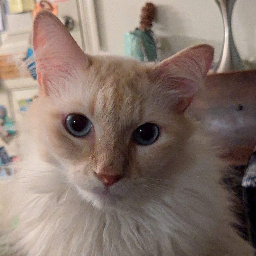 Sally