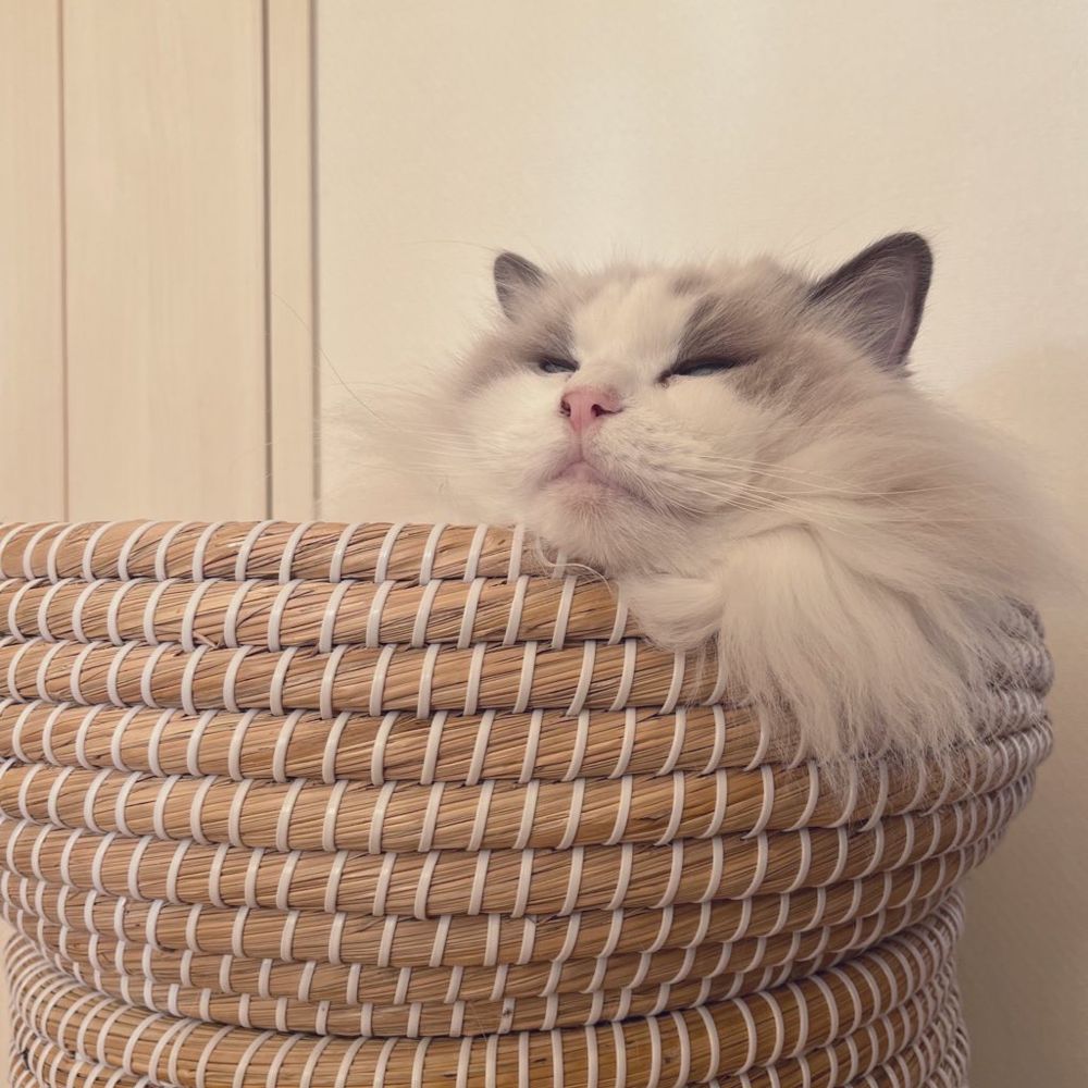 keiko