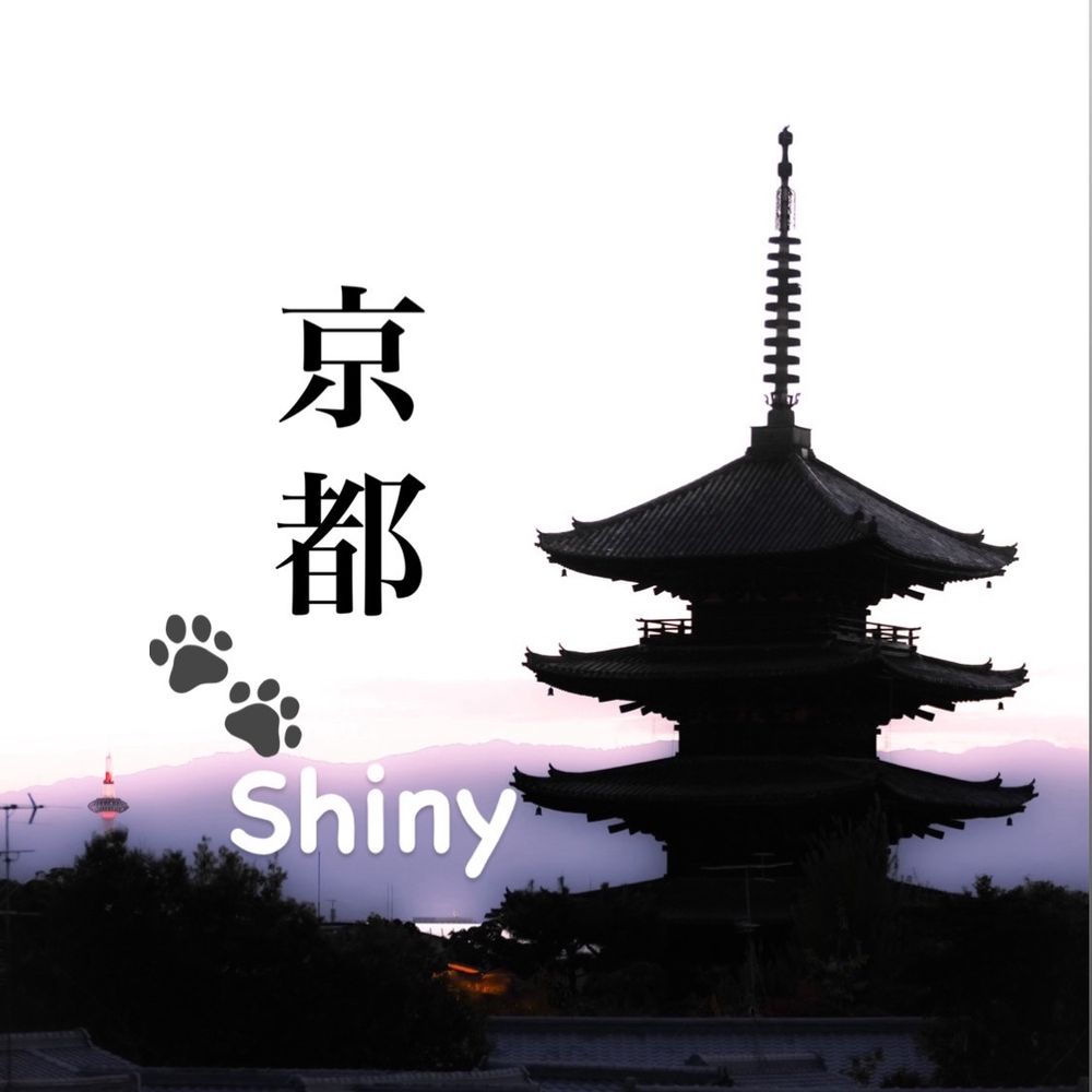 Shiny (京都/Kyoto)📸