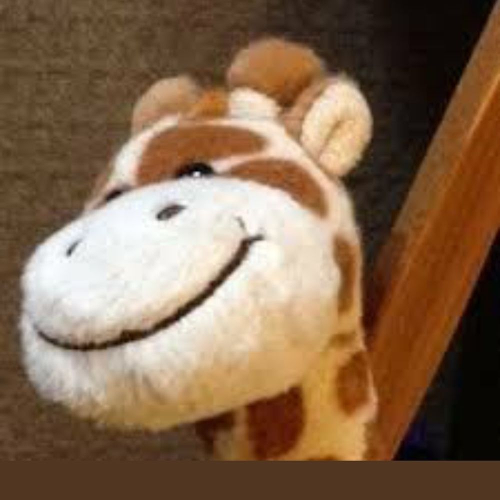 The Giraffe