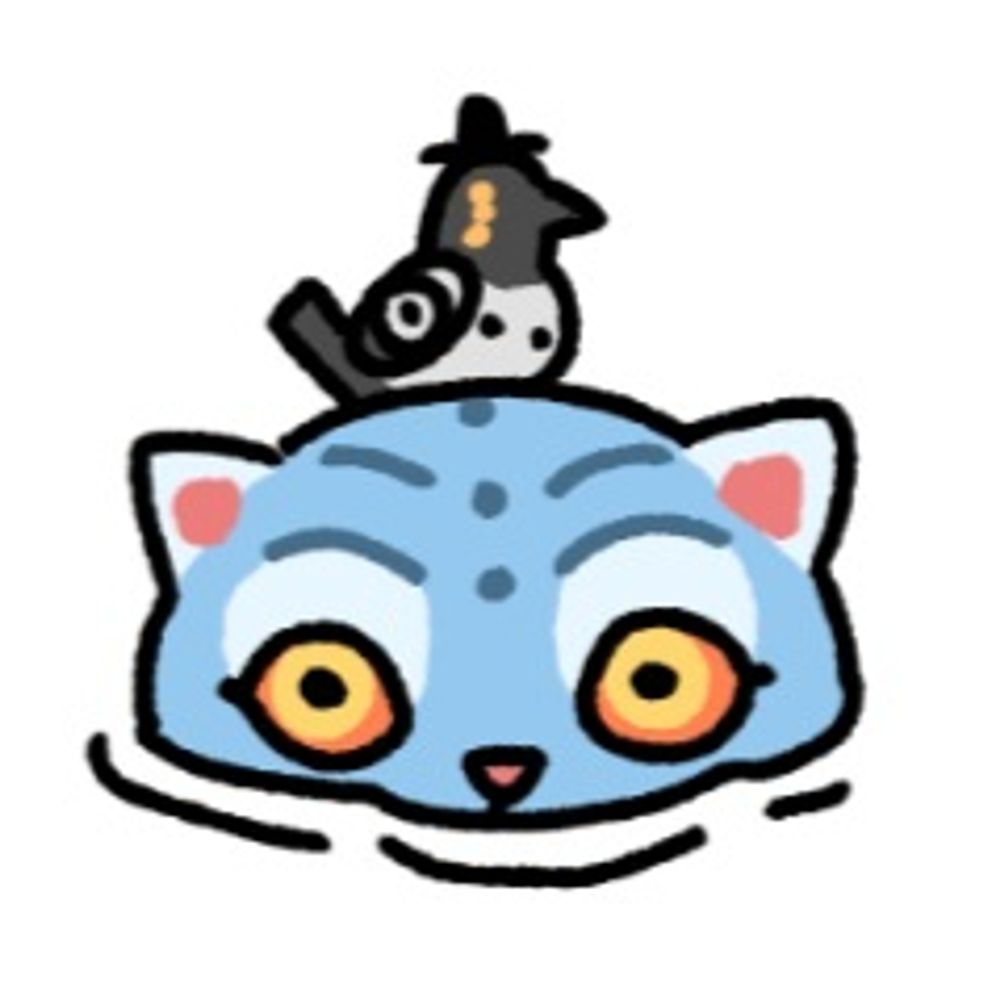 [랜선효도] 제주감귤🍊