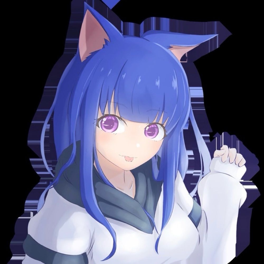 mokomoko@清廉な猫