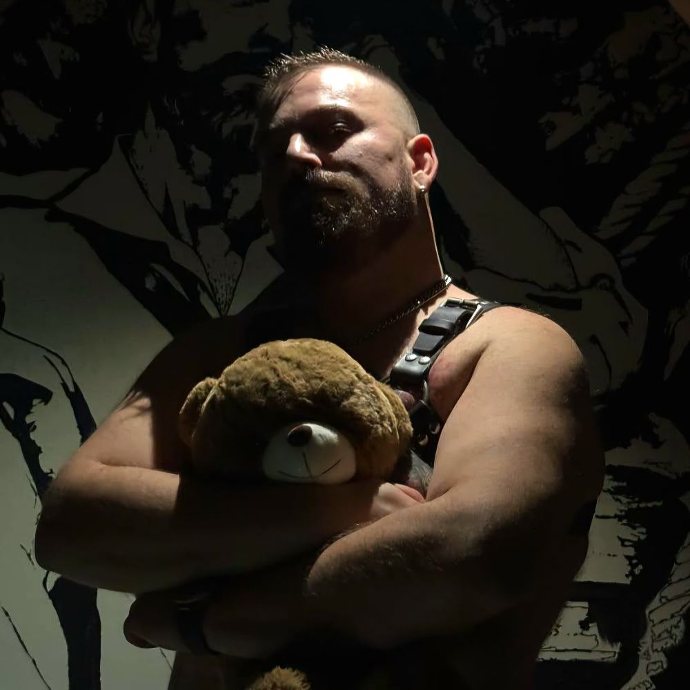 Petar the bear