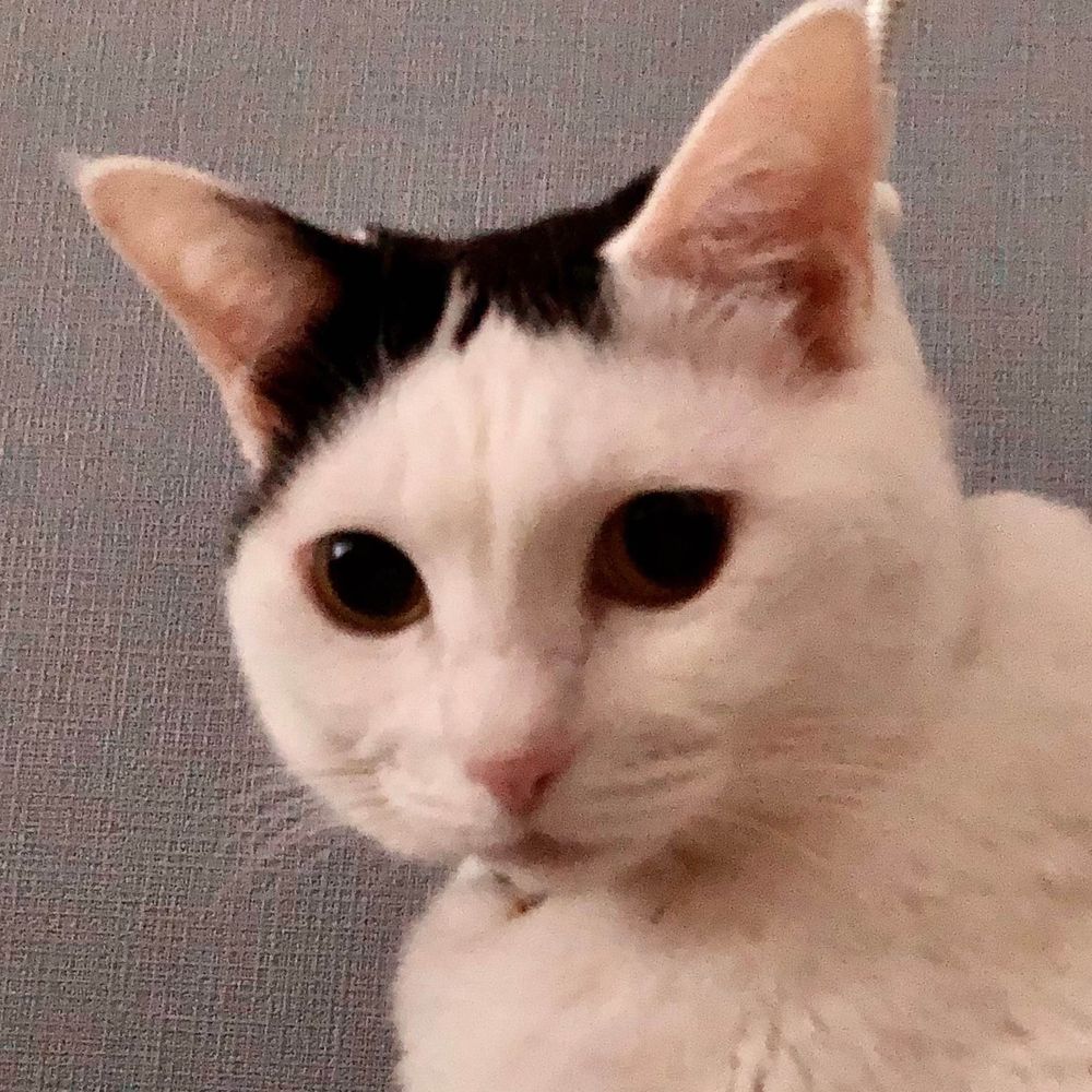 太郎