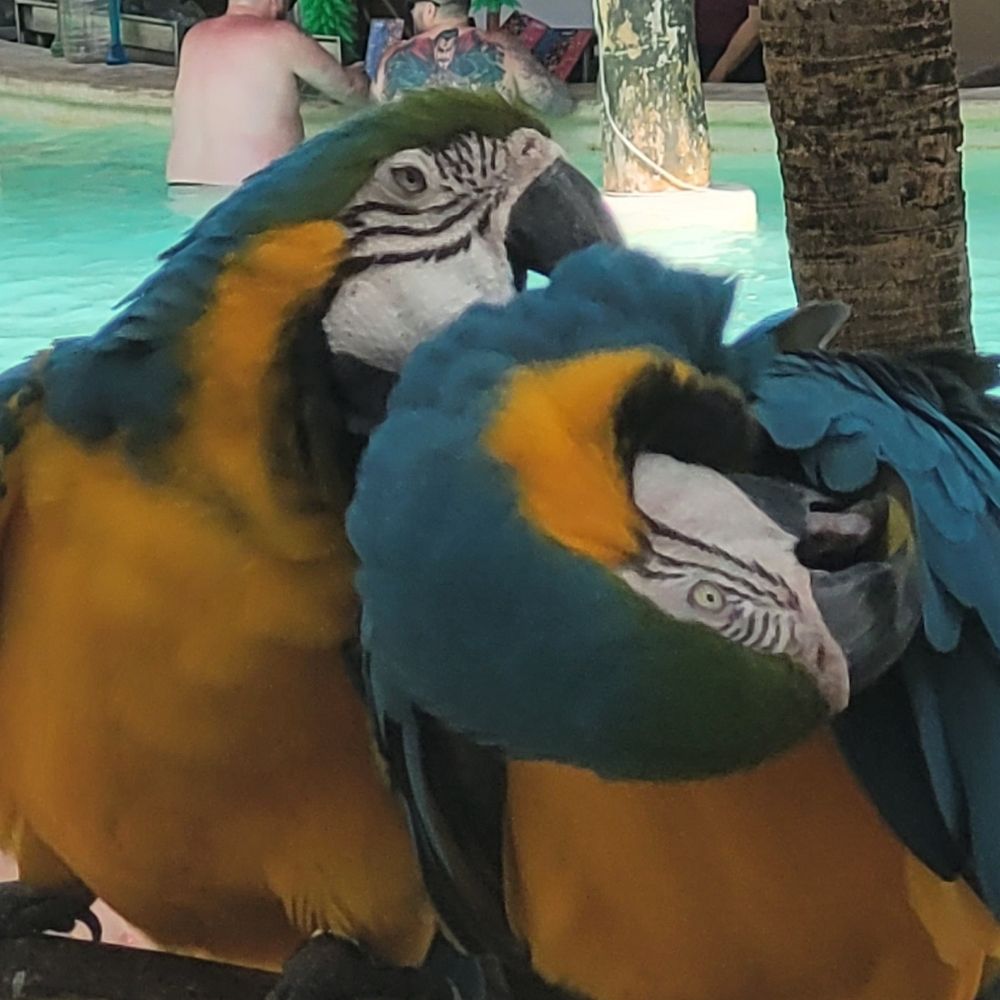 LucarioBlaze