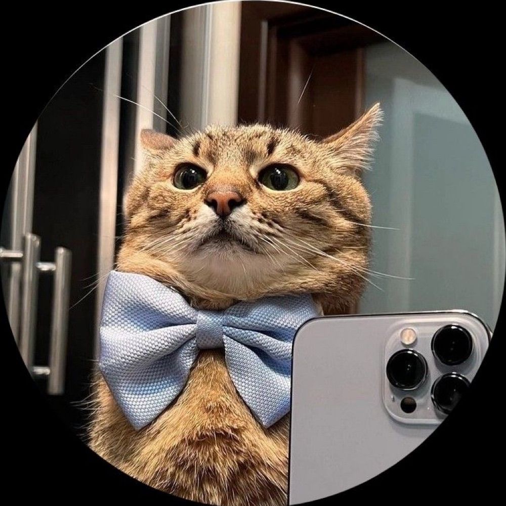 User avatar
