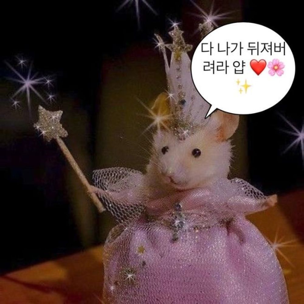 먼지
