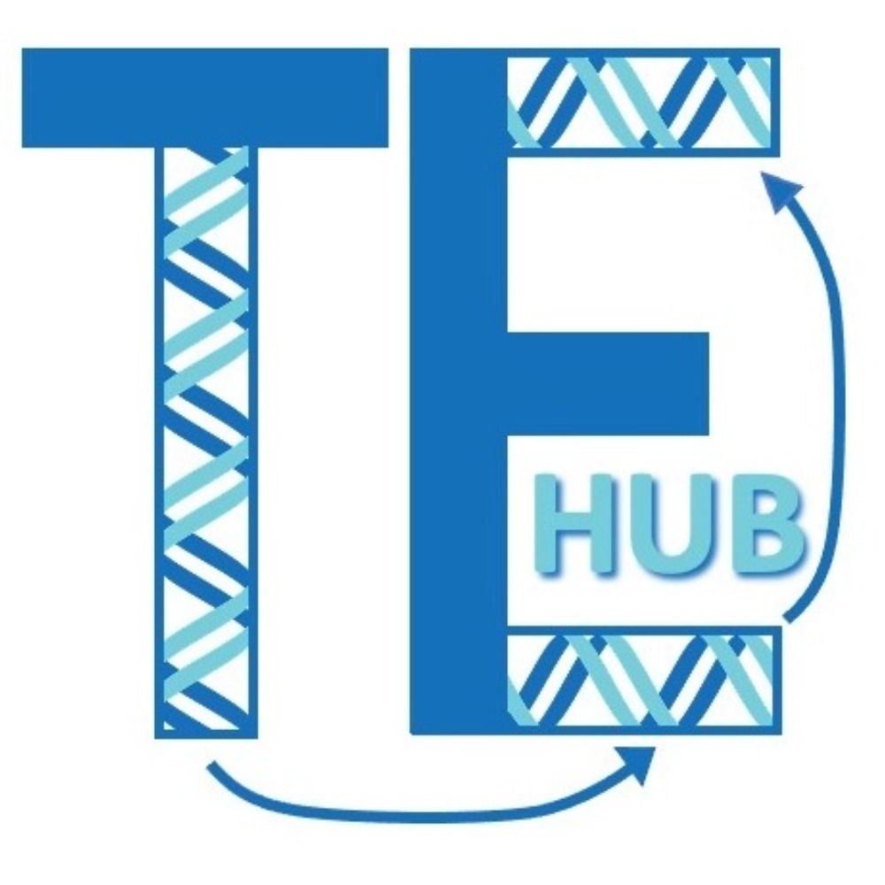 TE Hub