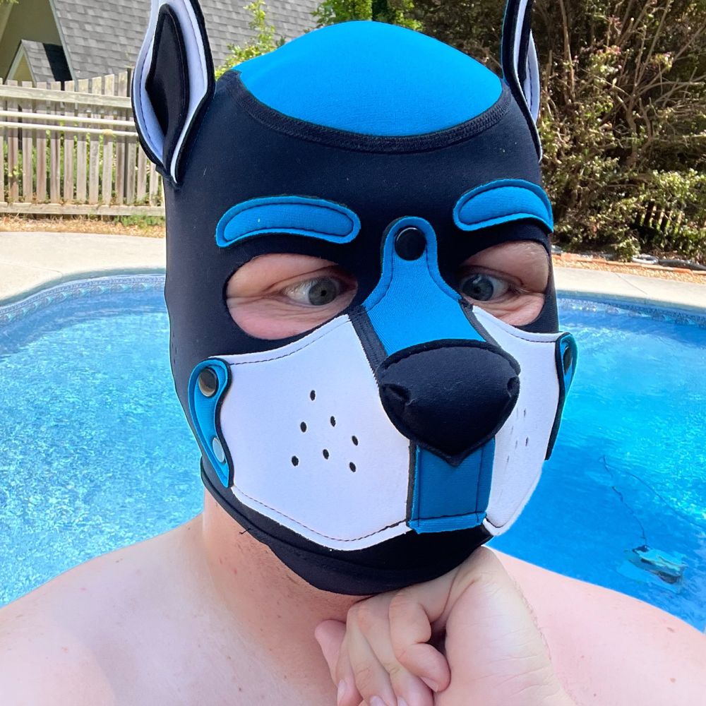 Pup Darren
