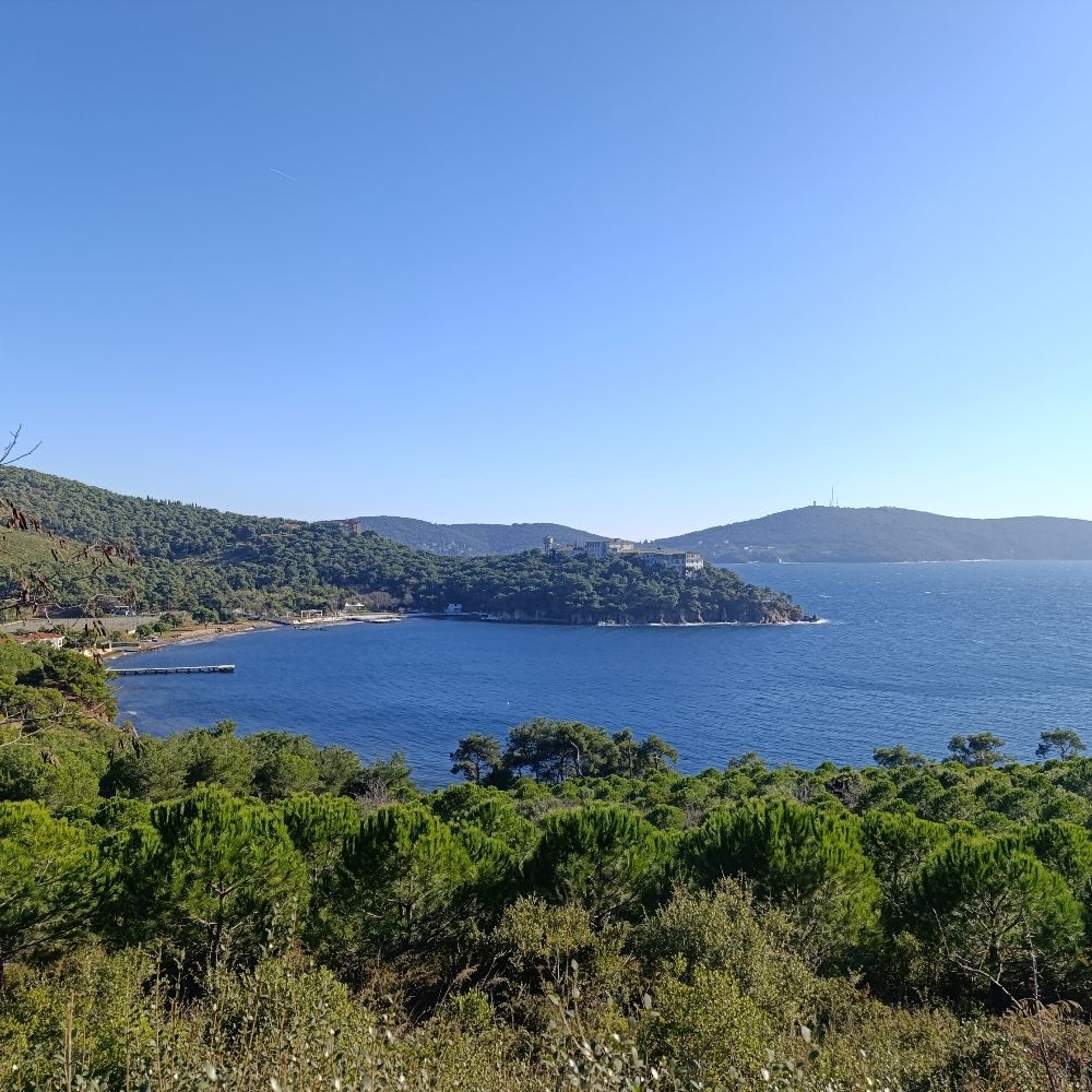 Dionysos