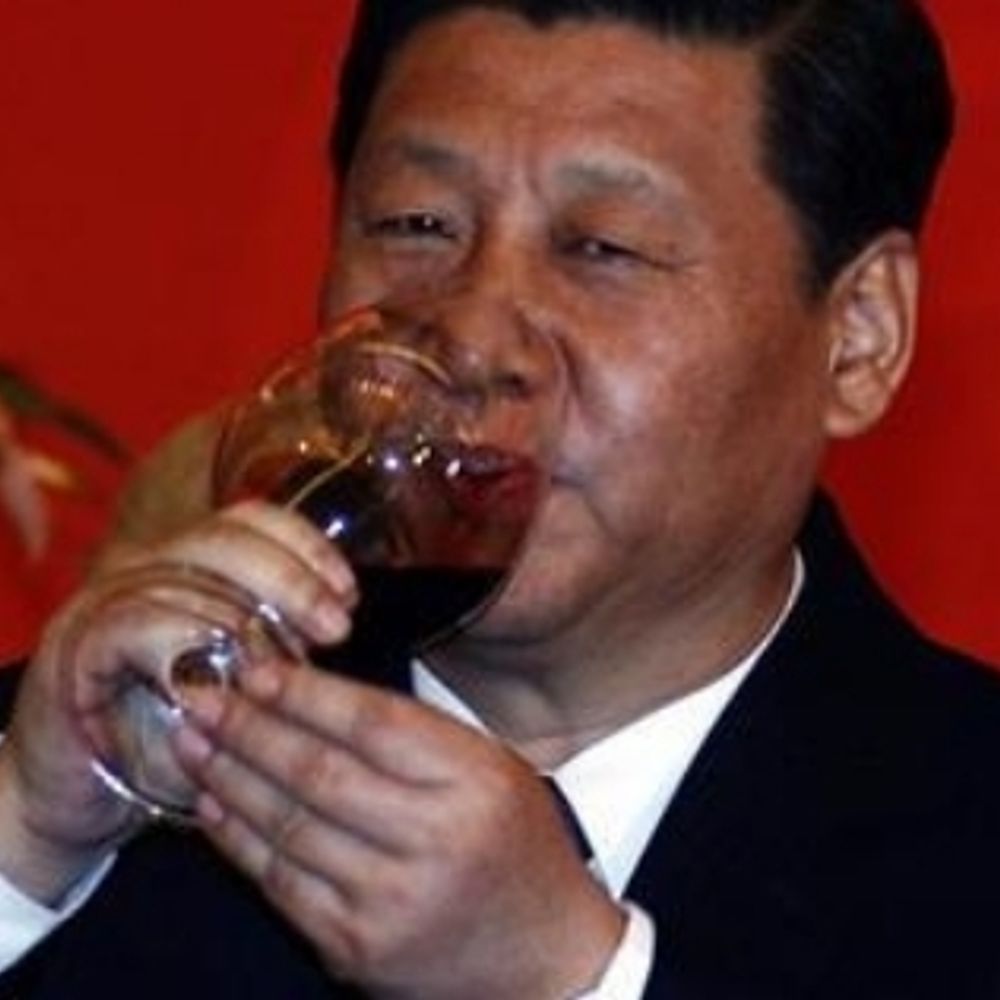 Xi Jinpimp
