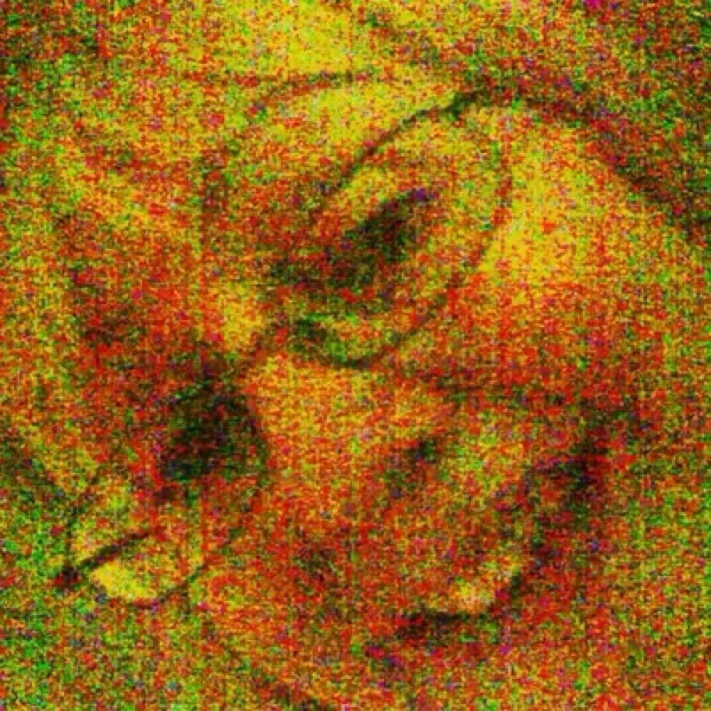 Sue
