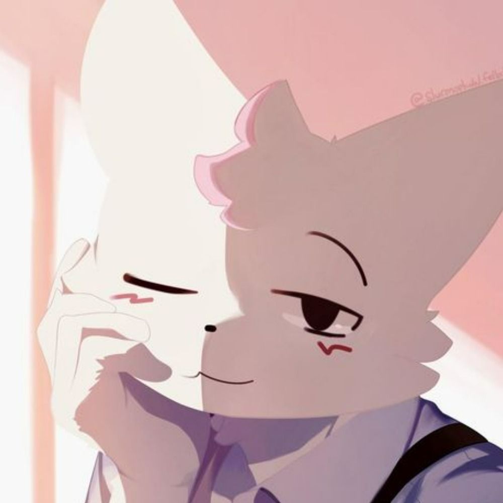Catto