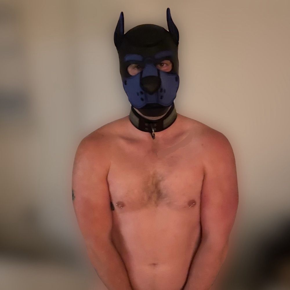 Pup Fionn, DC degenerate