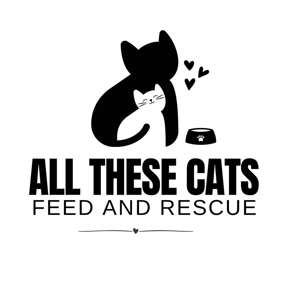All These Cats Feed + Rescue