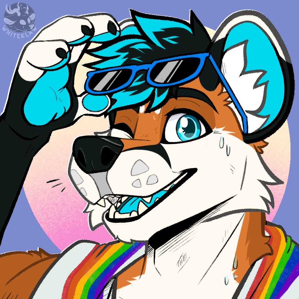 Avichi 🦊🎧