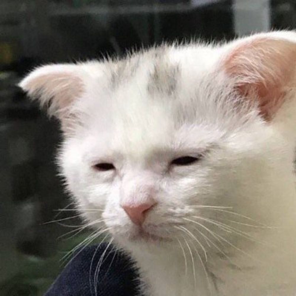 시안