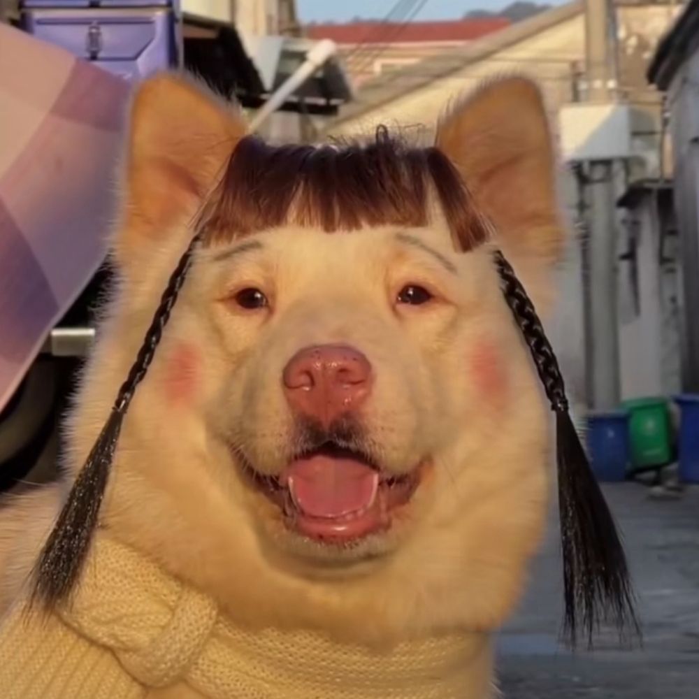 샤이 개저씨