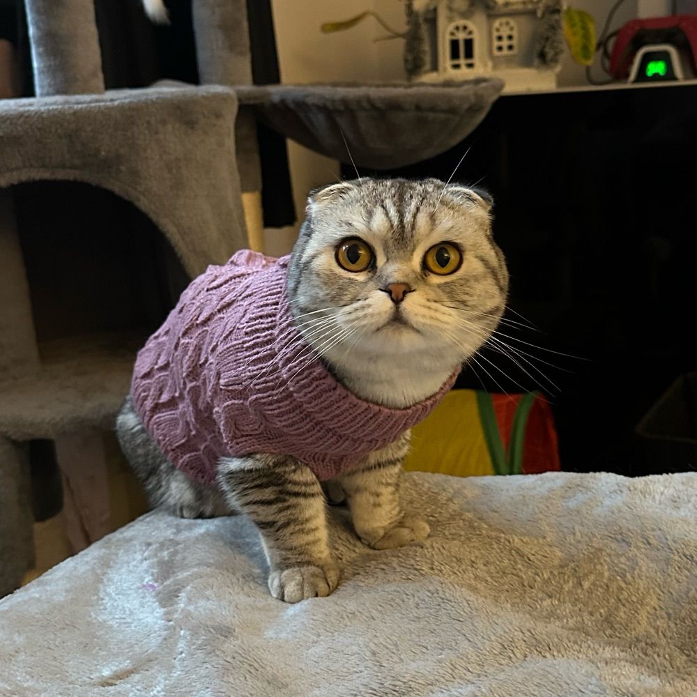 Meredith 🩶