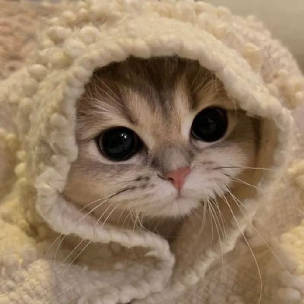 꾸꾸
